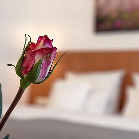 Hotel Elysee Seligenstadt